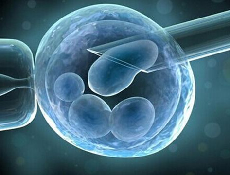 案例